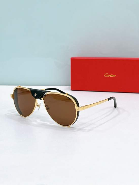 Picture of Cartier Sunglasses _SKUfw80538449fw